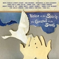 V.A.(VOICE OF THE SPIRIT) / VOICE OF THE SPIRIT THE GOSPEL OF THE SOUT