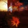 TO-MERA / TRANSCENDENTAL