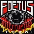 FOETUS INTERRUPTUS / フィータス・インターラプタス / THAW
