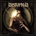 DISTORTED / VOICES FROM WITHIN