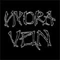 HYDRA VEIN / RATHER DEATH THAN FALSE OF FAITH / AFTER THE DREAM