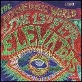 13TH FLOOR ELEVATORS / サーティーンス・フロア・エレヴェーターズ / PSYCHEDELIC WORLD ELEVATORS