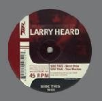 LARRY HEARD / ラリー・ハード / DIRECT DRIVE