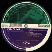 MARSELLUS PITTMAN & THEO PARRISH / ESSENTIAL SELECTIONS VOL.2