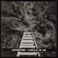 JONATHAN KANE / ジョナサン・ケイン / I LOOKED AT THE SUN