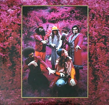 CAPTAIN BEEFHEART (& HIS MAGIC BAND) / キャプテン・ビーフハート / GROW FINS VOL.3-GROW FINS