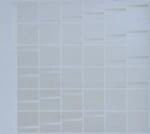 KIT CLAYTON / キット・クレイトン / LATERAL FORCES (SURFACE FAULT)