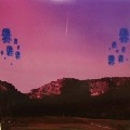 PIG & DAN / MAGIC VALLEY