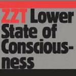 ZZT (ZOMBIE NATION & TIGA) / LOWER STATE OF CONSCIOUSN