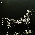 PREOCOOP / BEAVERS ROSE EP