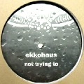 EKKOHAUS / NOT TRYING TO
