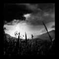 TENEBROUS / テネブラス / TENEBROUS