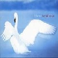 LIBERA / リベラ / LUMINOSA