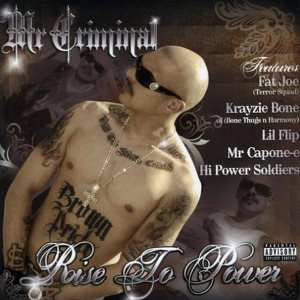MR. CRIMINAL / RISE 2 POWER