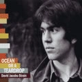 DAVID JACOBS STRAIN / OCEAN OR A TEARDROP