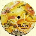 SLOPE / GEMINI