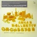 SONAR KOLLEKTIV ORCHESTER / GUARANTEED NICENESS