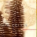 TOM LELLIS / トム・レリス / SOUTHERN EXPOSURE