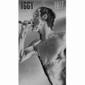 IGGY POP / STOOGES (IGGY & THE STOOGES) / イギー・ポップ / イギー&ザ・ストゥージズ / IGGY 1977