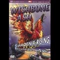 WISHBONE ASH / ウィッシュボーン・アッシュ / PHOENIX RISING