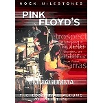 PINK FLOYD / ピンク・フロイド / ROCK MILESTONES PINK FLOYD'S UMMAGUMMA(NTS