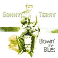 SONNY TERRY / サニー・テリー / BLOWIN' THE BLUES