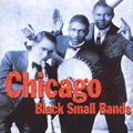 V.A.(CHICAGO BLACK SMALL BANDS) / CHICAGO BLACK SMALL BANDS