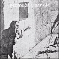 BERMUDA TRIANGLE / バミューダ・トライアングル / BERMUDA TRIANGLE