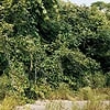 BATTLES / バトルス / B EP