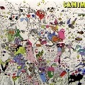 SAMIM / DO YOU SEE THE LIGHT?