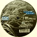 PETER GRUMMICH / FRESH AIR FOR FRESH PEOPLE