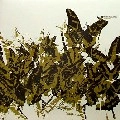 MELCHIOR PRODUCTIONS LTD. / メルキオール・プロダクション・LTD / WHO CAN FIND ME EP