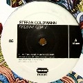 STEFAN GOLDMANN / ステファン・ゴールドマン / RADIANT GRACE