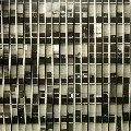 SPEKTRE / PACEMAKER