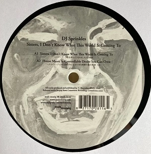 DJ SPRINKLES / DJ スプリンクルズ / SISTERS I DON'T KNOW WHAT THIS WORLD IS CO