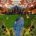 OXFORD COLLAPSE / オクスフォード・コラプス / SOME WILDERNESS