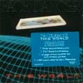 FACE DANCER / THIS WORLD