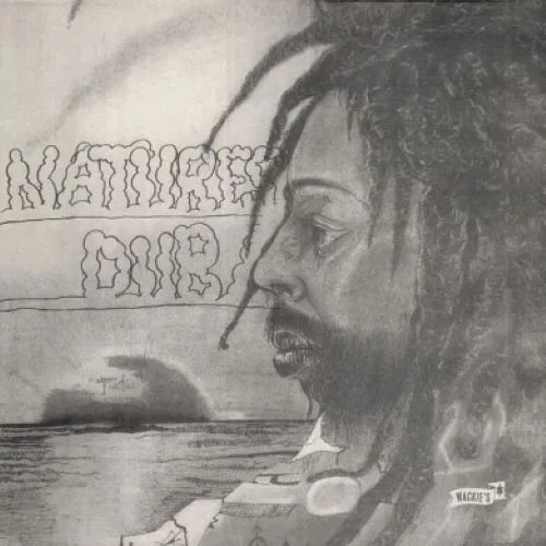 BULLWACKIE'S ALLSTARS / ブルワッキーズ・オールスターズ / NATURES DUB