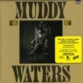 MUDDY WATERS / マディ・ウォーターズ / KING BEE