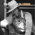 TAJ MAHAL / タジ・マハール / ESSENTIAL TAJ MAHAL