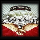 FOO FIGHTERS / フー・ファイターズ / BEST OF YOU (ECD)