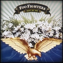 FOO FIGHTERS / フー・ファイターズ / BEST OF YOU (2TRK)