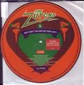 ZUTONS / ズートンズ / WHY WON'T YOU GIVE ME YOUR LOVE? (PICTURE)