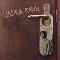 JOSHUA RADIN / ジョシュア・ラディン / WE WERE HERE