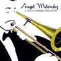 ANGEL MELENDEZ & THE 911 MAMBO ORCHESTRA / ANGEL MELENDEZ & THE 911 MAMBO ORCHESTRA