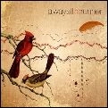 ALWAYS THE RUNNER / オールウェイズ・ザ・ランナー / ANGUST GOLF