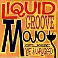 LIQUID GROOVE MOJO / リキッド・グルーヴ・モジョ / ACOUSTICALLY CHALLENGED