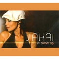 SAKAI / DREAM BIG