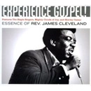 V.A.(EXPERIENCE GOSPEL!) / EXPERIENCE GOSPEL!: ESSENCE OF REV.JAMES C