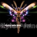 BILLYLEE JANEY BAND / SOUL DRIVER
